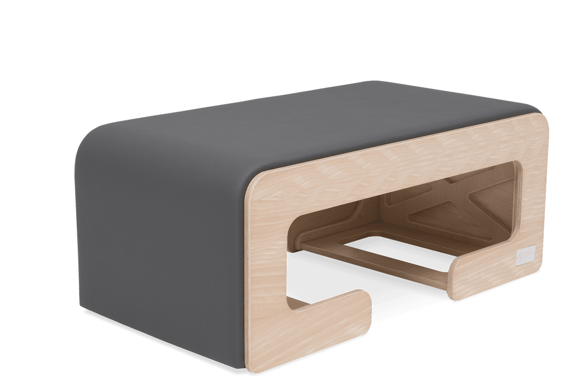 BASI Systems Options and Upgrades